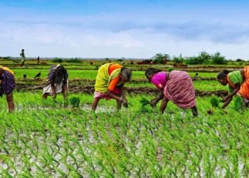 Women’s Workforce Participation Sees Significant Growth: PLFS Report