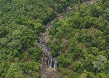 Odisha’s Land Commons Valued at ₹36,890 Crore Annually: A Vital Resource for Climate Change Mitigation