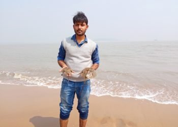 A Wildlife Biologist’s Quest to Save the Sea’s Ancient Custodians