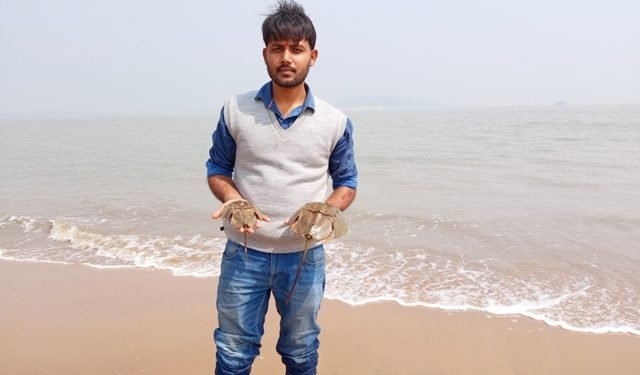 A Wildlife Biologist’s Quest to Save the Sea’s Ancient Custodians