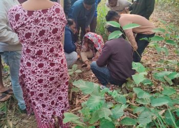 Odisha: Citizens’ Forum Calls for Bargarh Bandh on January 21 Over Alleged Gangrape of Woman