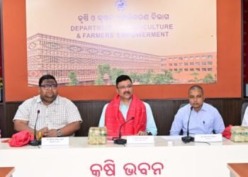  Odisha to Introduce ‘Amruta Anna’ for Chemical-Free Mahaprasad at Puri Jagannath Temple 