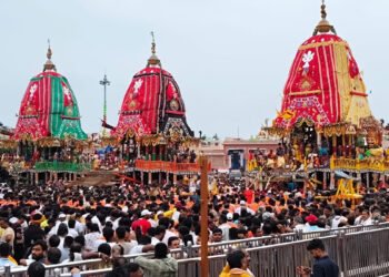 Rath Yatra 2025: Divine Procession Pauses Midway in Puri, To Resume With First Light Tomorrow