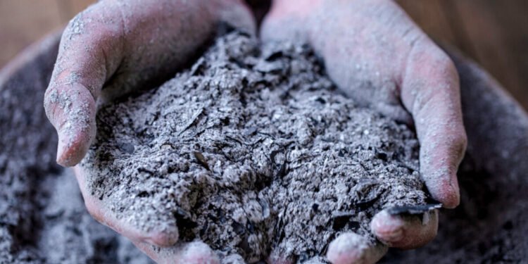 Unlocking Hidden Wealth: India Eyes Rare Earth Elements in Coal Waste
