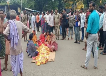 Tragedy in the Wild: Elephant Rampage Claims Three Lives in Dhenkanal