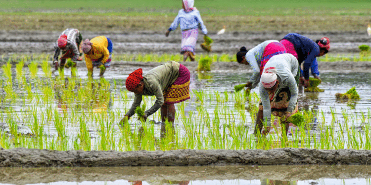 Cabinet Launches ‘PM Dhan-Dhaanya Krishi Yojana’ to Boost Agriculture in 100 Backward Districts
