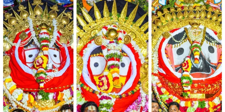 Golden Splendor on the Badadanda