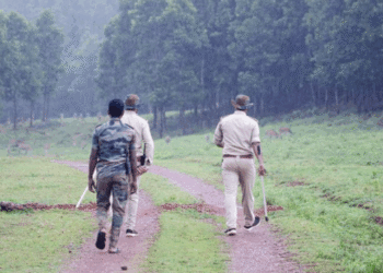 Odisha Enforces Strict Monthly Foot Patrol Norms to Protect Forests