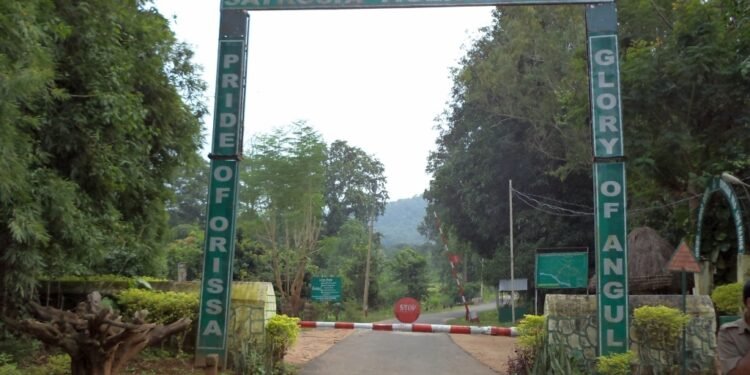 Supreme Court Seeks Centre and Odisha’s Stand on Alleged Illegal Activities in Satkosia Tiger Reserve