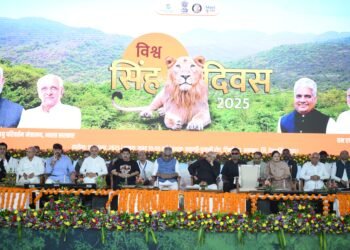 PM Modi’s Vision Drives Record Growth in Asiatic Lion Population: From 674 to 891 in Five Years