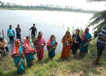 Guardian of the Mangroves: Sakuntala Pratihary Nanda’s Mission to Protect Odisha’s Coast